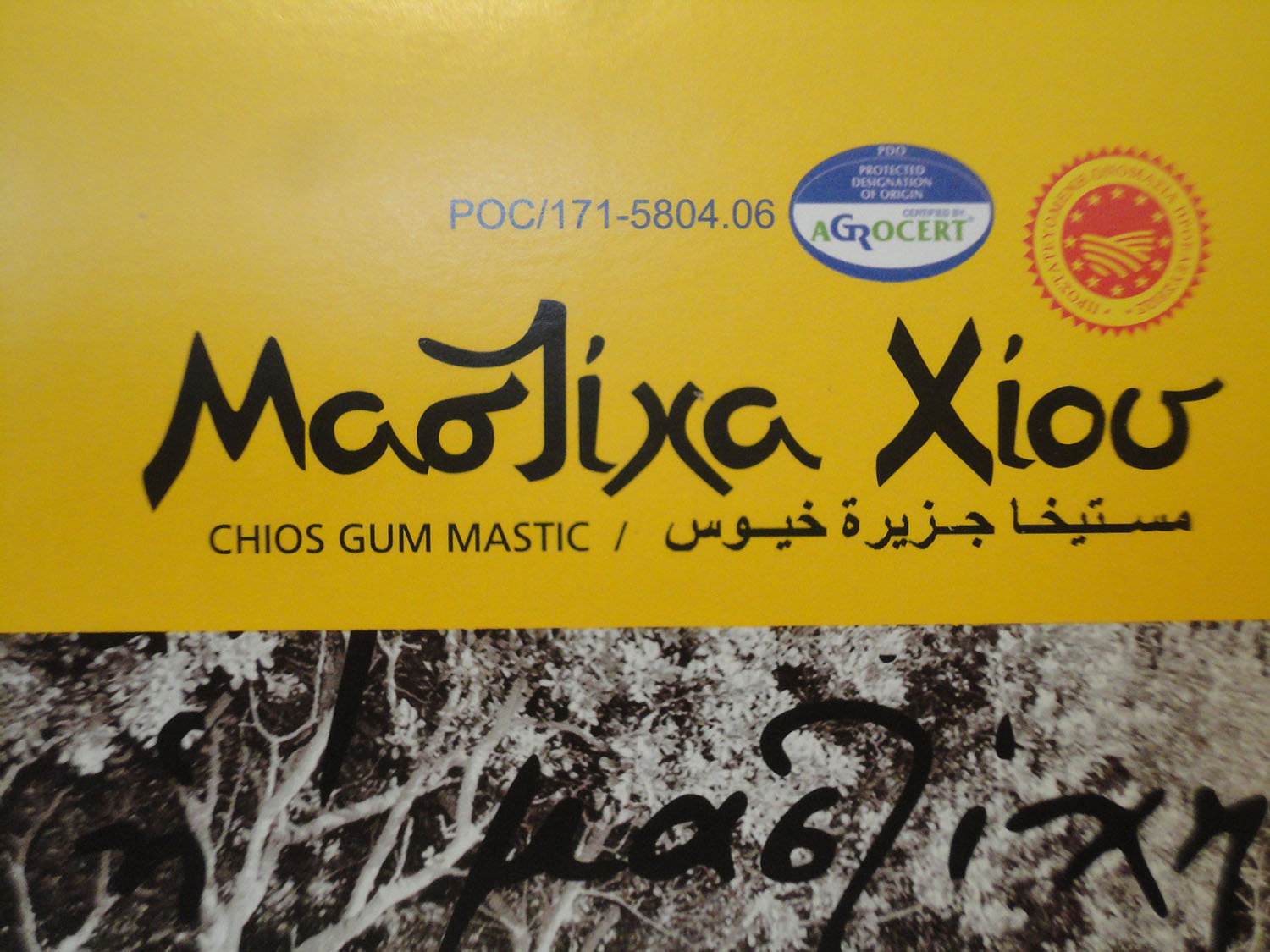 resine-mastic-chios-atp-art-techniques-peinture-3.jpg